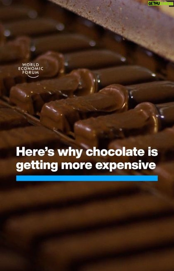 Klaus Schwab Instagram - The climate phenomenon is ruining cocoa harvests in West Africa. The World Economic Forum’s 100 Million Farmers initiative aims to boost global food security by helping to scale resilient and climate-friendly agriculture. Learn more by tapping on the link in our bio.