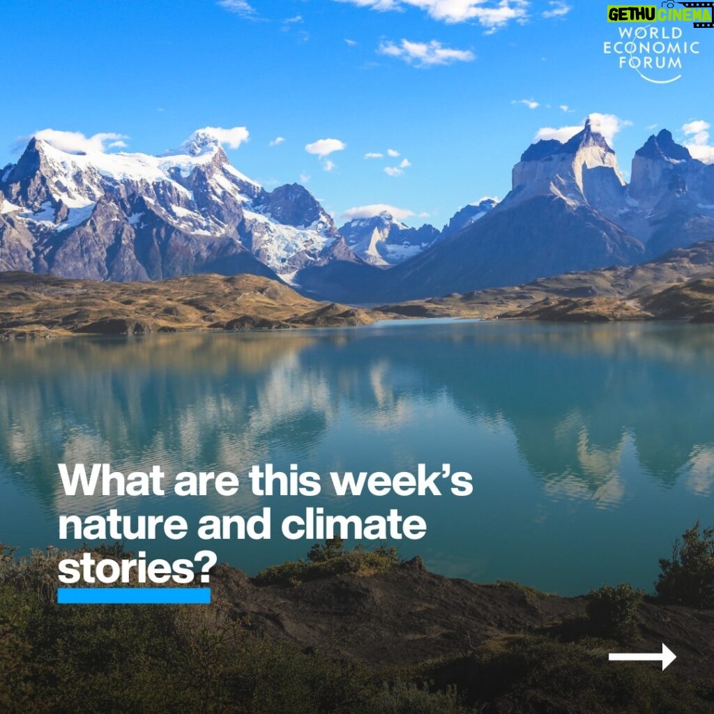 Klaus Schwab Instagram - From the looming La Niña set to bring rains to Asia and dry Americas to the hottest 12-month period ever recorded, here are the key #nature and #climate stories from the past week. Tap the link in our bio for more.