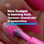Klaus Schwab Instagram - New Zealand is one of the world’s first countries to ban the use of these toxic chemicals in cosmetics. Learn more about what’s needed to prevent PFAS and microplastic buildup from the World Economic Forum’s Centre for Nature and Climate by tapping on the link in our bio.