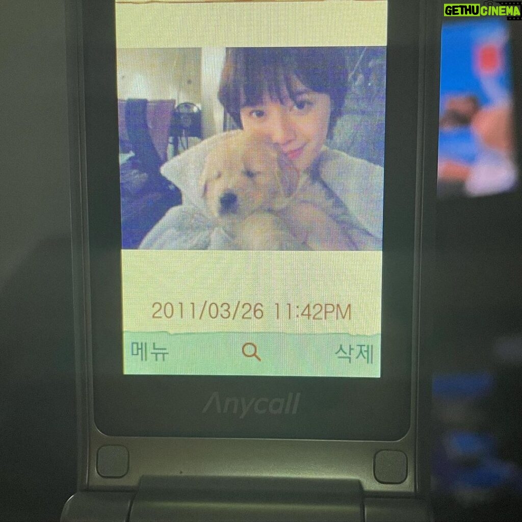 Koo Hye-sun Instagram - 감자의 인절미 시절❤️