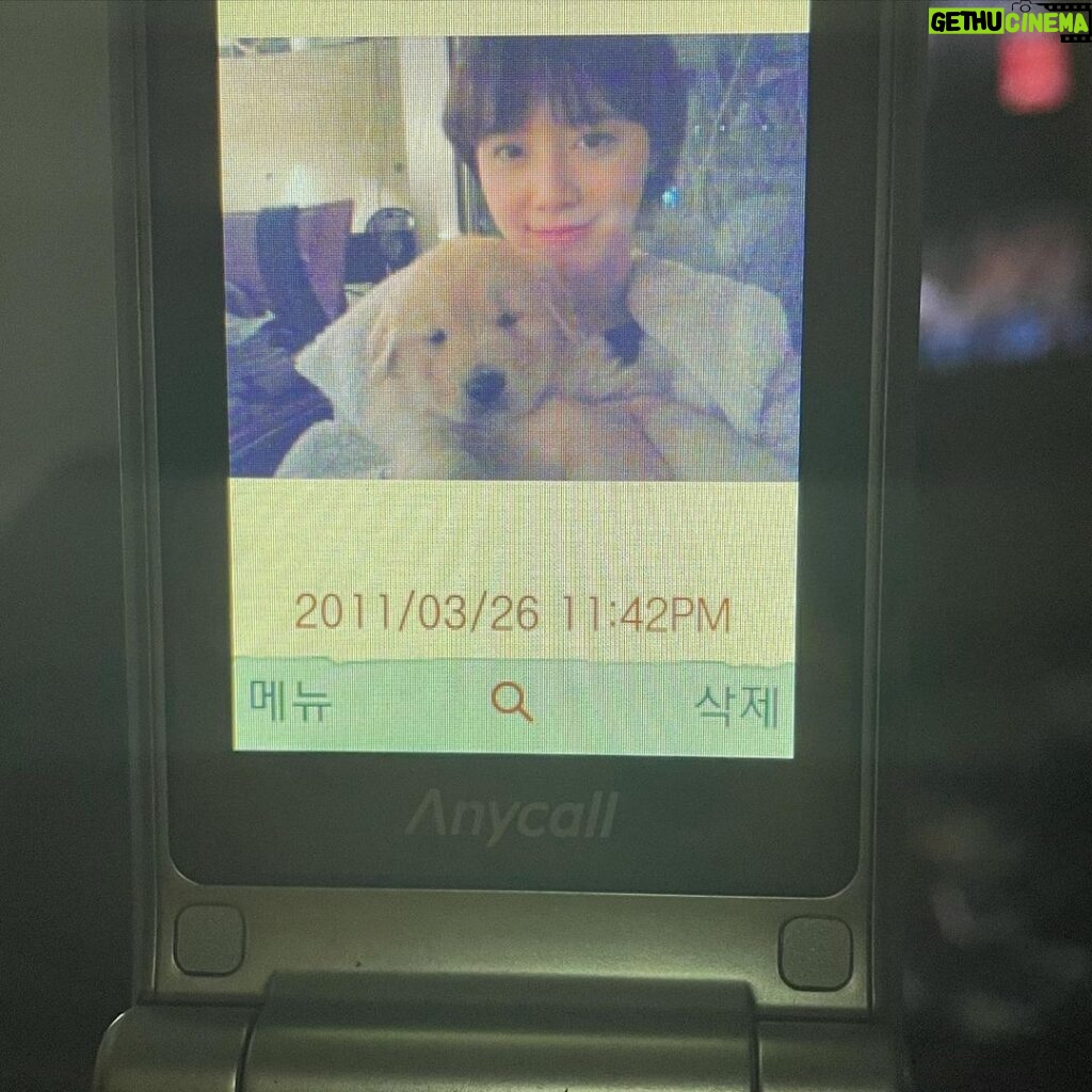 Koo Hye-sun Instagram - 감자의 인절미 시절❤️