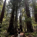 Krystal Jung Instagram - the forest has ears🌳👂🏻