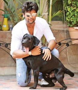 Kushal Tandon Instagram - Lucknow people plz help me find my black lab , he is missing since last nite , he must have lost his way back home 🏡 area Hazratganj his name is robo!