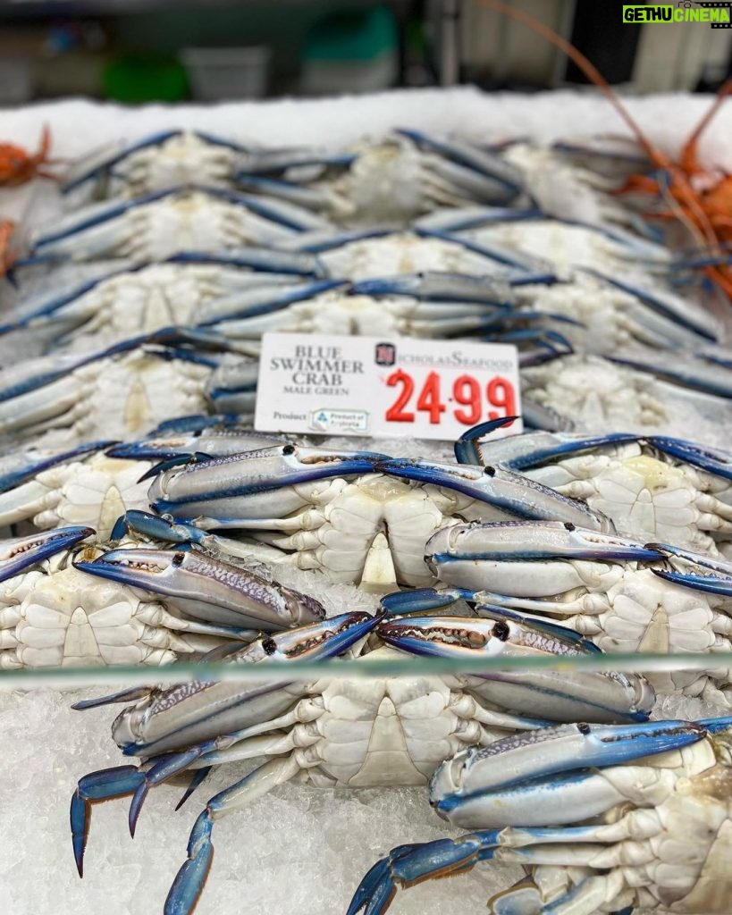 Kwon Yu-ri Instagram - 노량진수산시장🐟🐠🍤 Fish Market Sydney