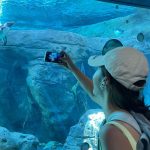 Kwon Yu-ri Instagram - 🐨🦒🐅🐬🦓🐆🦙🦣🦧🦍🦜🦦🦥