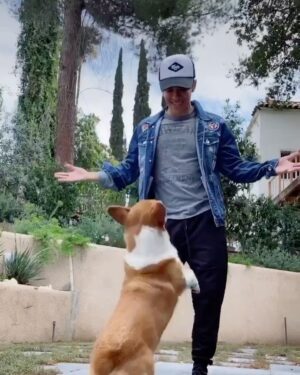 Kyle Hanagami Instagram - Quarantine Day 4.

Sorry, I had to one up you @derekhough @sir_twitch_alot.  #tiktok #dance #corgi #yesthatsasnowman