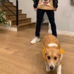 Kyle Hanagami Instagram - There’s a lot going on here. Does anyone else have their Christmas tree still up in February? Los Angeles, California