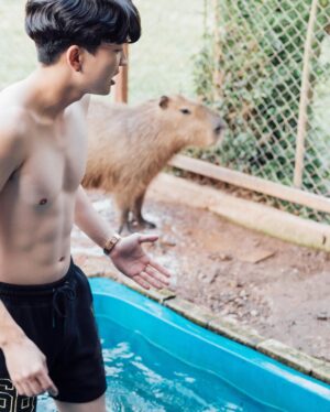 Kyutae Sim Instagram - I love Capybara❤️