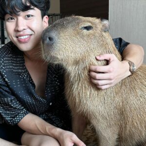 Kyutae Sim Instagram - My new friend😎 his name Prayut #capybara