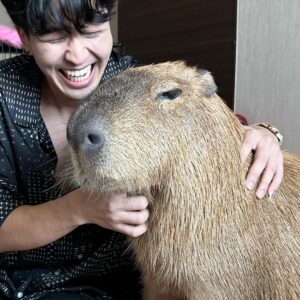 Kyutae Sim Instagram - My new friend😎 his name Prayut #capybara