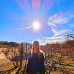 Lívia Andrade Instagram - Nem só de energia se vive por aqui...😉🍷 Depois disso o céu ficou mais colorido , acho que vi luzes diferentes e um Sol que parece flor 🌼 Sedona, Arizona