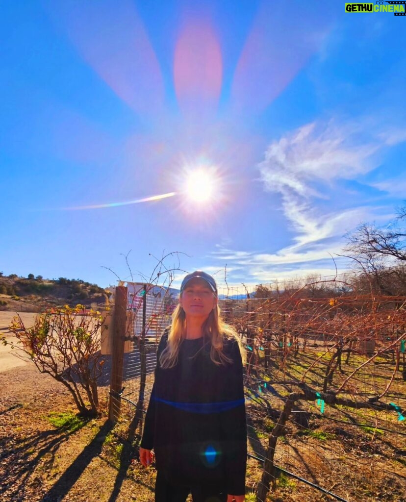 Lívia Andrade Instagram - Nem só de energia se vive por aqui...😉🍷 Depois disso o céu ficou mais colorido , acho que vi luzes diferentes e um Sol que parece flor 🌼 Sedona, Arizona