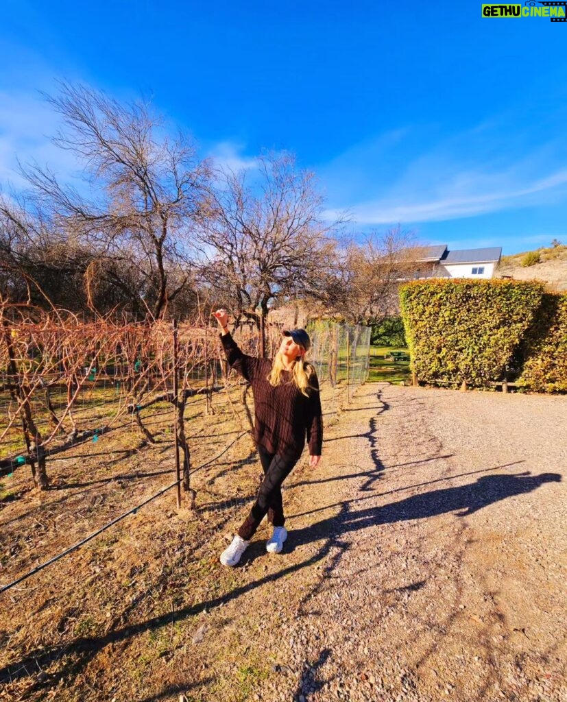 Lívia Andrade Instagram - Nem só de energia se vive por aqui...😉🍷 Depois disso o céu ficou mais colorido , acho que vi luzes diferentes e um Sol que parece flor 🌼 Sedona, Arizona