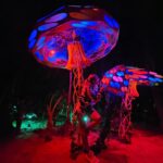 Lívia Andrade Instagram - Alice no país das maravilhas... 🍄 #aliceinwonderland #alice Tulum, México