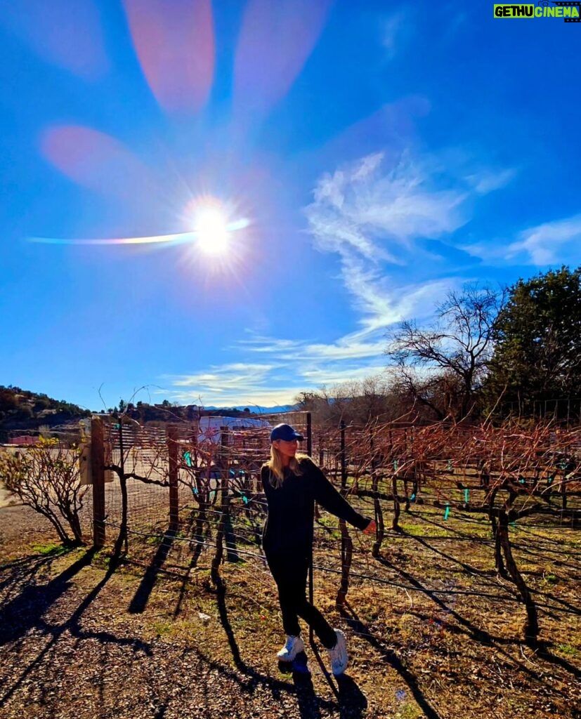 Lívia Andrade Instagram - Nem só de energia se vive por aqui...😉🍷 Depois disso o céu ficou mais colorido , acho que vi luzes diferentes e um Sol que parece flor 🌼 Sedona, Arizona