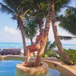 Lívia Andrade Instagram - Naturaleza perfeita! 🤩🌞🌊💙🐠🐚🌙 #tulum #papayaplayaproject #attravel #méxico #ocean Papaya Playa Project