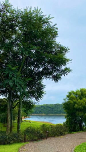 Lívia Inhudes Instagram - O tempo nublado não atrapalha em nada… que vista, aproveitando cada momento. 🙌🏻🌳

• @clararesorts •
