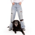 Lala Kent Instagram - My loves, I'm so excited to be emceeing this year’s Humane Society of Utah gala. This organization is near and dear to my heart- it’s where I adopted the love of my life, Lilly, 12 years ago. The gala will be held in Salt Lake City, Utah at the Little America on November 11th at 6:30 pm. I can’t wait to have a night with you all, filled with love for our fur babies. Let’s raise some 💰 and throw back some sparkling water (or something a bit stiffer) VIP Meet and Greet with me is also available. Your VIP ticket price includes access to the VIP Puppy Lounge Experience, a picture of you and me, a signed copy of my book Give Them Lala, and (1) one reserved seat at dinner. Also, word on the street is these sweet shelter pups will walk the stage, and obviously steal the show 🥹 Every dollar raised for this event will go towards helping the homeless animals in my home state of Utah. Your presence and contributions will make a significant difference in their lives, providing them with the care, love, and second chances they deserve. I hope you’ll join me 🤍 @utahhumane LINK IN MY BIO