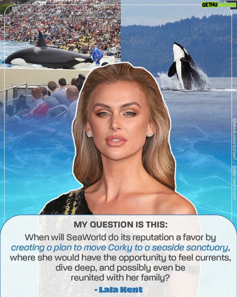 Lala Kent Instagram - 🌊 #VanderpumpRules star @lalakent is making a splash for Corky the orca at #SeaWorld’s annual shareholder meeting 🌊⁠  ⁠ She’s calling on the abusement park to retire Corky to a seaside sanctuary! Help us free Corky ➡️ https://peta.vg/3o35⁠