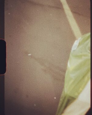 Lana Del Rey Instagram - We been everywhere
