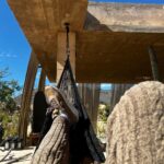 Lance Gross Instagram - You can always find me in a hammock & a dope hotel. Happy 🤎 day