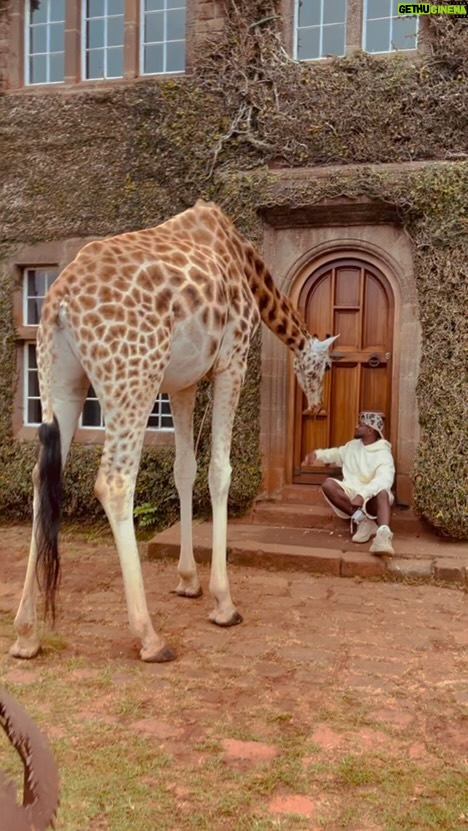 Lance Gross Instagram - Giraffe Manor