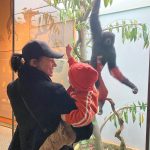 Laura Prepon Instagram - Making friends at the museum. 🐒