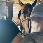 Laura Prepon Instagram - Making some new friends 🐴🥰