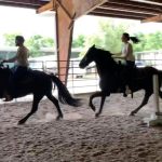 Laura Prepon Instagram - Riding with my fella 💓🐴