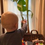 Laura Prepon Instagram - New growth! We are all excited about Plant’s new leaf that’s about to uncurl! 🌱