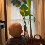 Laura Prepon Instagram - New growth! We are all excited about Plant’s new leaf that’s about to uncurl! 🌱