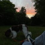 Lauren Orlando Instagram - summatime
