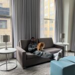 Le'Veon Bell Instagram - @evenhotels Pittsburgh Downtown and @ihghotels took GREAT care of me when I was in town for the Steelers vs Bengals game, really made my stay SPECIAL... I stayed downtown right in the middle of everything, but still got to take a break & recharge, I even got a workout in right from my room 😅 they literally created this hotel with wellness in mind 🙌🏾 Unforgettable feeling & thank you SOOO much for welcoming me back to Pittsburgh 🙏🏾🖤 (& Pluto 🐶😅❤️) If you’re ever in the area for a Steelers game, Pirates game, Penguins game, this is the spot ‼️👇🏾  #ExperienceIHG #EVENHotels #partner