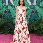 Lea Michele Instagram - 🌹TONYS 2023 🌹