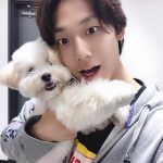 Lee Do-hyun Instagram - 🐶😆 #가을이랑 #댕댕이랑 #🐾 #가을이는_혼자_신남 #가을아_나랑도_놀아줘