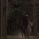 Lee Hanee Instagram - 오늘 밤 9시50분 밤피보러 뛰뛰뛰~~~ㅎ 🏃🏻‍♀️🏃🏻‍♂️🏃🏻💨💨💨