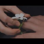 Lee Hi Instagram - D-4 그대가 해준 말 2024. 01. 16. TUE 6PM (KST)