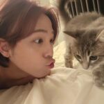Lee Hong-gi Instagram - 🐈🐈‍⬛🐱