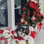 Lee Joon-gi Instagram - Happy holiday ❤️‍🩹Thankyou to all of your Love❤️‍🔥
