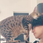 Lee Jun-ho Instagram -