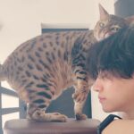 Lee Jun-ho Instagram -