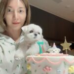 Leeteuk Instagram - 사랑해 쿵이야❤️❤️❤️❤️❤️❤️❤️