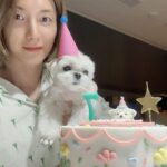 Leeteuk Instagram - 사랑해 쿵이야❤️❤️❤️❤️❤️❤️❤️