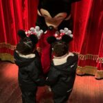 Leigh-Anne Pinnock Instagram - Disney Dump 🥹😍 we had the cutest little family trip. Bubbas LOVEDDDD it! Screamed when they met Minnie 😩 just too too cute! ❤️❤️