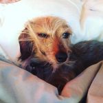 Leighton Meester Instagram - Wish #iwokeuplikethis