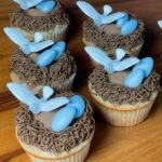 Lena Dunham Instagram - When @sweetboy makes Birdy cupcakes, you have to main grid that sh*t... Thank you to everyone who made #catherinecalledbirdy's opening weekend in theaters such a joy. Love you more than I love carbs. Flying into our second weekend in theaters with all the cheer of a cupcake with candy on top 🧁🍬🕊