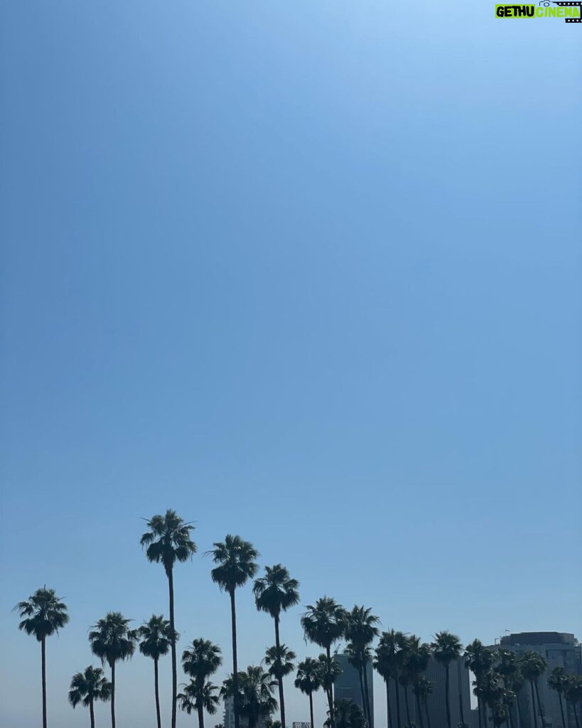 Leo Cidade Instagram - 📍 Los Angeles, California