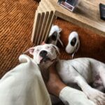 Lesley-Ann Brandt Instagram - Tui update. We are thriving people. Thriving. 🥰
