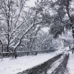 Leyla Lydia Tuğutlu Instagram - İstanbul❄️
