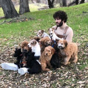Lil Dicky Instagram - I rarely take a step back to reflect, but when the great @justinbieber asked me to be on his album, it made me be like wow. So I went crazy on track number 8, which is my lucky number, and went crazy in the video, where this picture was taken. #changes out Valentine’s Day. I’m still single :/